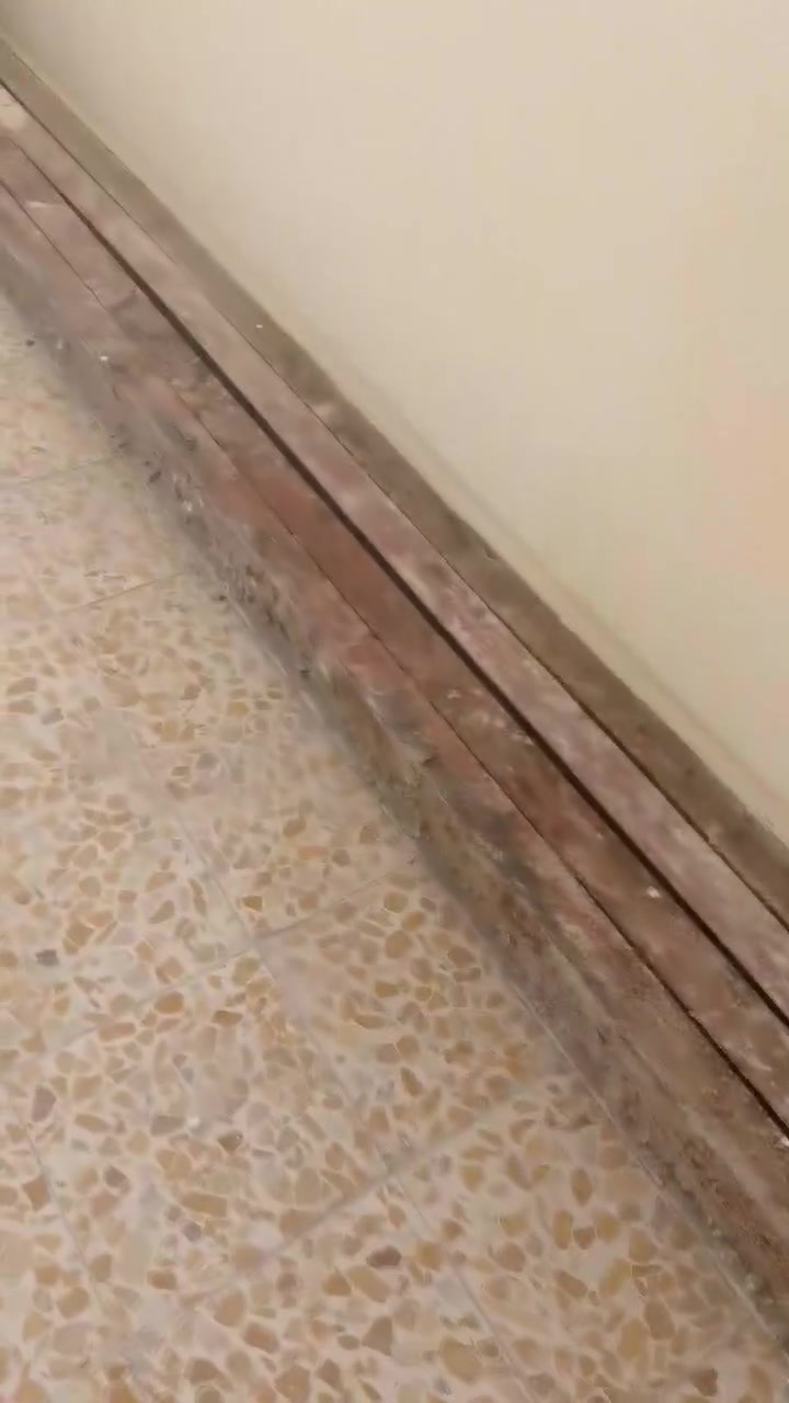 منطقه الثعالبه ***********
