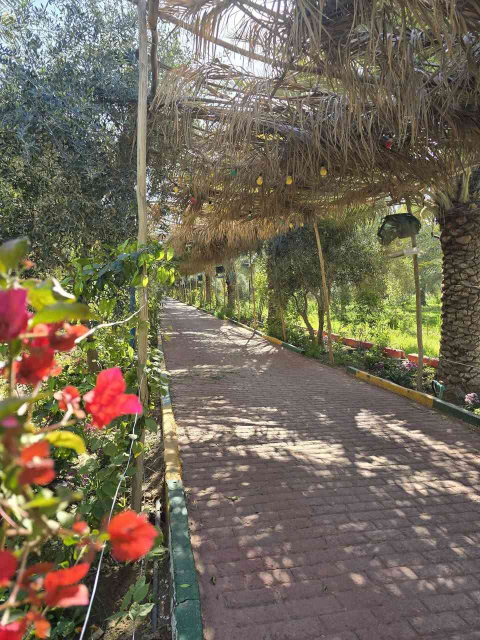 #من_جنه_الأرض_كربلاء_المقدسه 
تتوفر سياره🚐 عائليه 8 نفرات للزيارات
والمراقد المقدسه🕌 والاماكن الترفيهية 

الحجز خاص او الاتصال على الرقم 
📞📞 ***********
@إشارة
