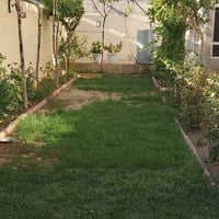 الكندي الثالثة • ٨٥م • واجهة قبلة