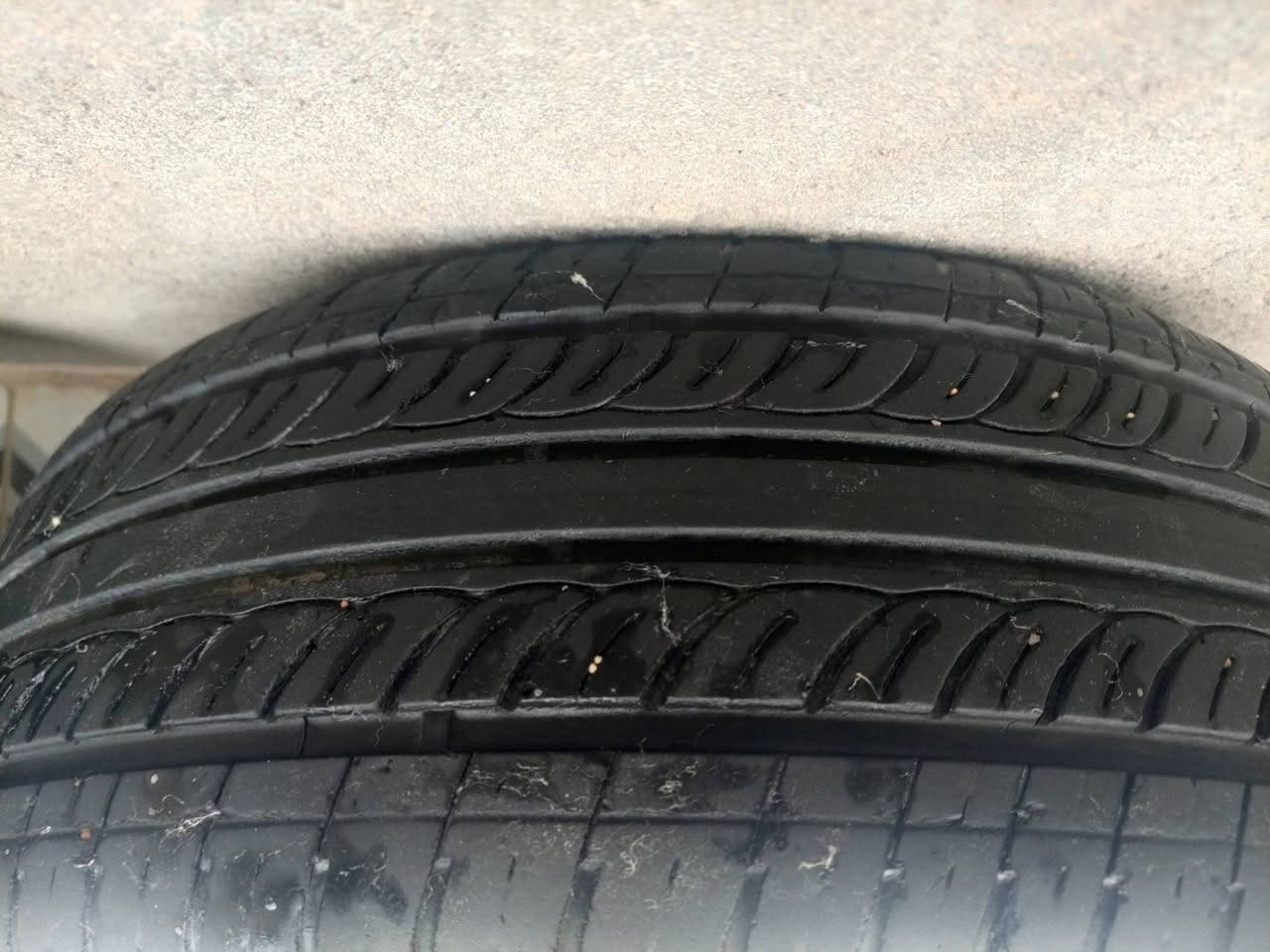 تخم تاراته البيع طوسهن هديه مكان قضاء رفاعي سعر 250 بيهن مجال الرقم***********
