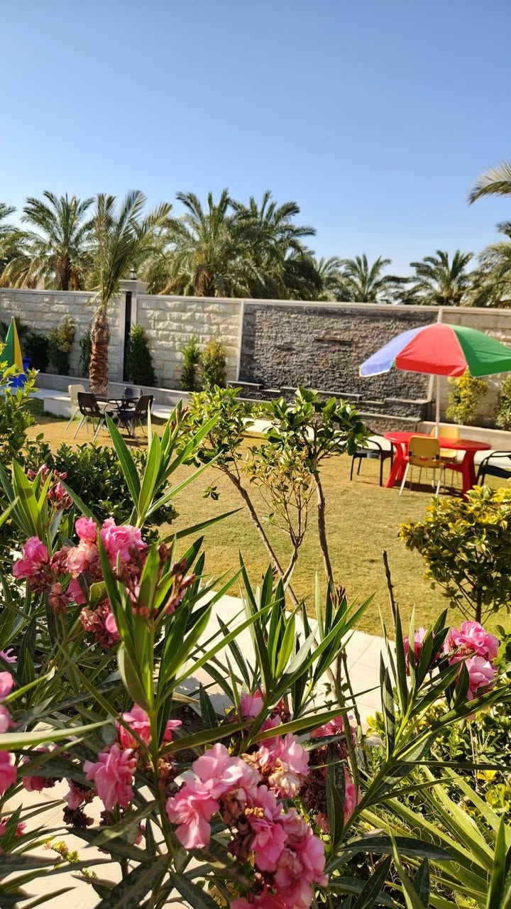 سلام عليكم متوفر مزرعه للايجار اليومي للاتصال ***********
