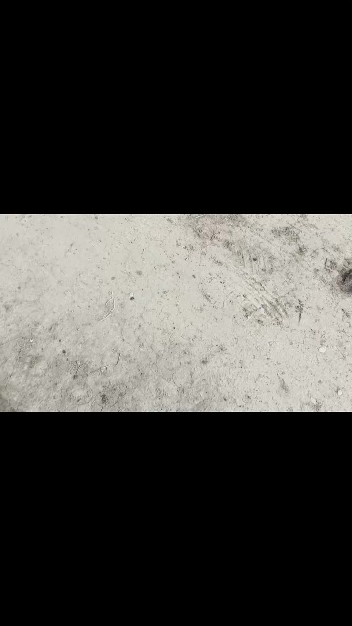 بسم الله الرحمن الرحيم
السلام عليكم ورحمة الله وبركاته 
يوجد لدينا بيت المساحه 1750 ملك صرف سند25
منطقه الجلاعطه الفحامه جزيره بغداد السياحيه 
تحويل باسم المشتري طابو الاعظميه السعر ع الخاص 
اخوكم محمد النداوي  رقم الهاتف   ***********
