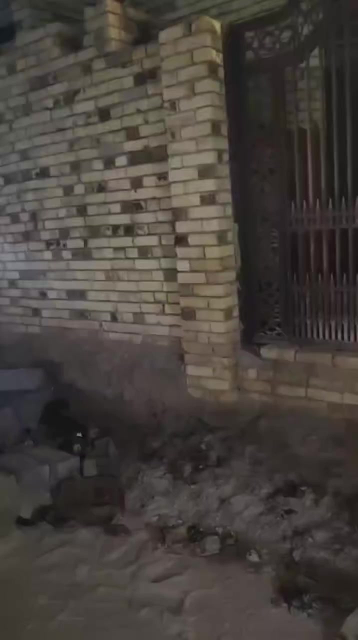 بايكر البيع/حي القصور شارع معمل الكبة مساحة 100م خدمات كاملة الإستفسار الاتصال على
  ‏‪0771 651 6139‬‏
