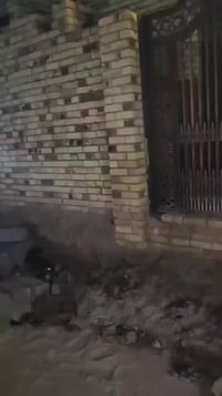 بايكر البيع/حي القصور شارع معمل الكبة مساحة 100م خدمات كاملة الإستفسار...