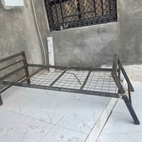 جرابيات حديد • نقص صبغ • البصرة الحيانية