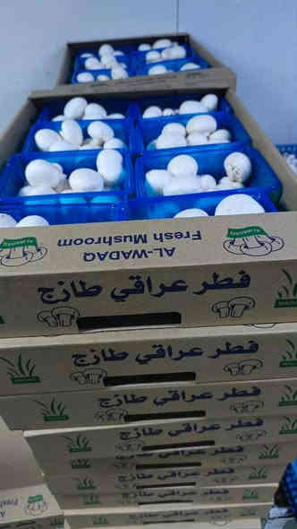 السلام عليكم زبائننا الكرام

توفر الفطر انتاج عراقي علبه ب2000 دينار للحجز مراسلة الصفحه او الاتصال على *********** واتس اب
