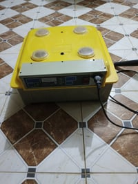 فقاص فول • توماتيك • شهربان ديالى