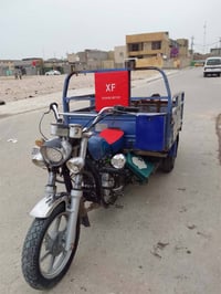 ستوته • موديل 14 • أوراق أصلية