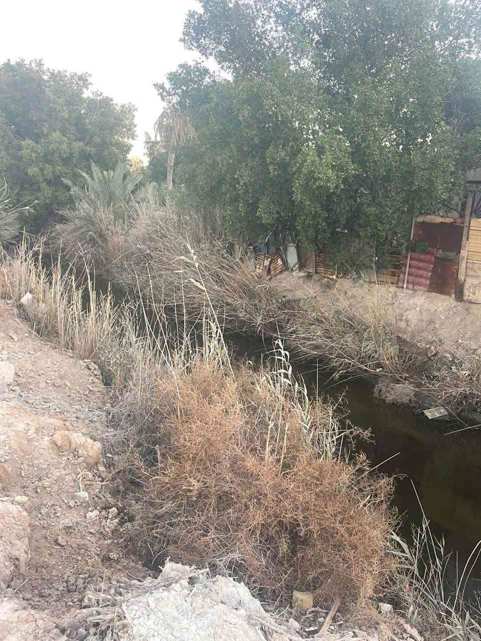 #السلام #عليكم #ورحمه #الله #وبركاته
#قطعه ارض #للبيع #طابو #ملك صرف
تحويل بسم المشتري مباشر #المساحة
900متر على #شارع تبليط 10 متر ماء كهرباء 
اناره كافه الخدمات متوفره #العنوان #بصره
#ابي_الخصيب منطقه ابو كوصره وبسعر جداً مناسب 150 مليون وقابل للتفاوض للستفسار 
عن #العقار *********** البصرة, العراق
