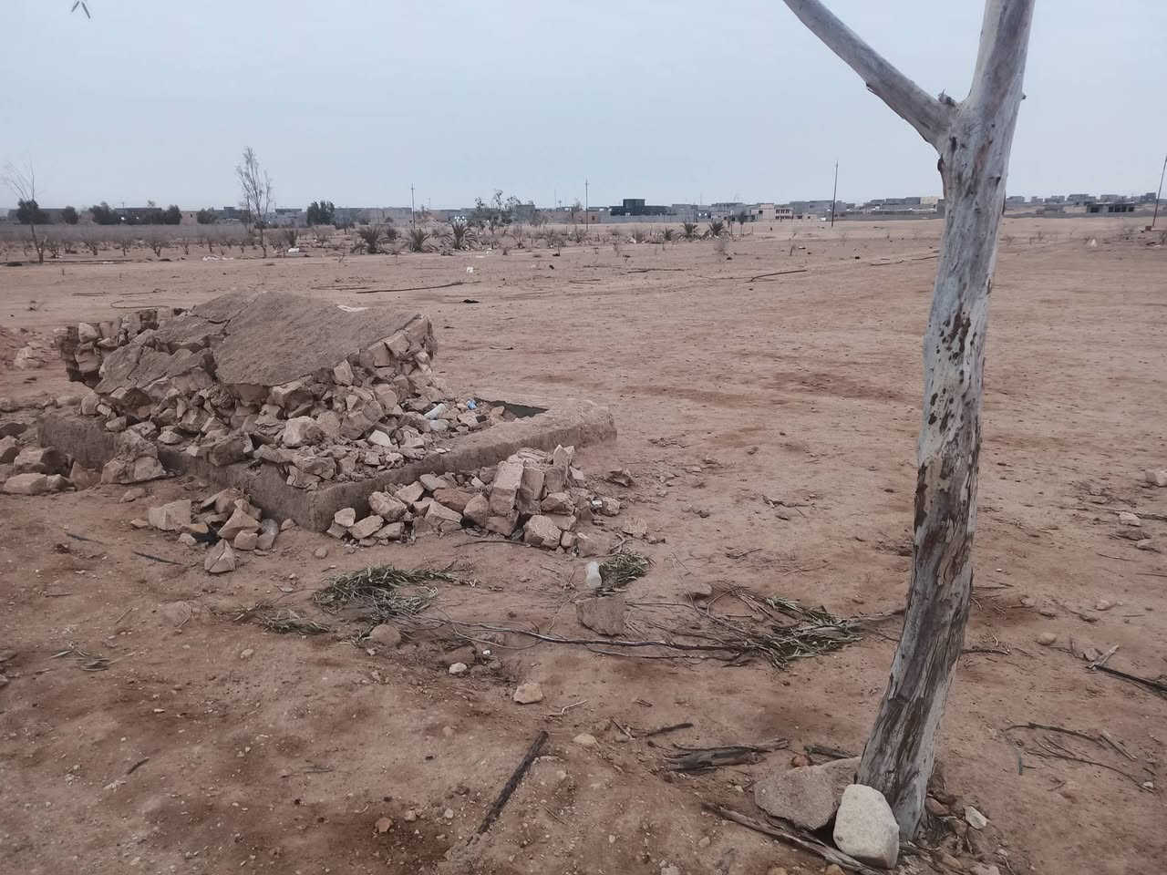 قطعه ارض للبيع!!!! 

المساحه 1000 متر 
على 3 شوارع 
الرئيسي 10 متر تبليط؟؟ 
الفرعيات ثنين على 8 متر؟ 

خدمات ب كامل بنص سكن 
ماء وكهرباء قريب على مدرسه جامع حي الزيتون 

الموقع /  حي زيتون الغربي 

تفاصيل القطعه اكثر اتصل برقم ////

يرهم بيع او مراوس بسياره 

*********** / وتساب متوفر
