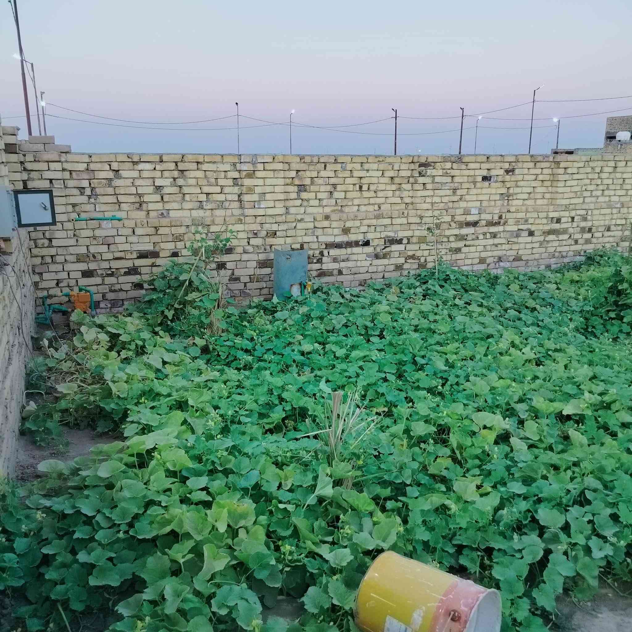 السلام عليكم عرصه للبيع طابو زراعي سند 25بسمي العرصه 200متر مجمع نور الامير طريق الدغاره مقابيل ال5دونم واتساب***********  او***********
