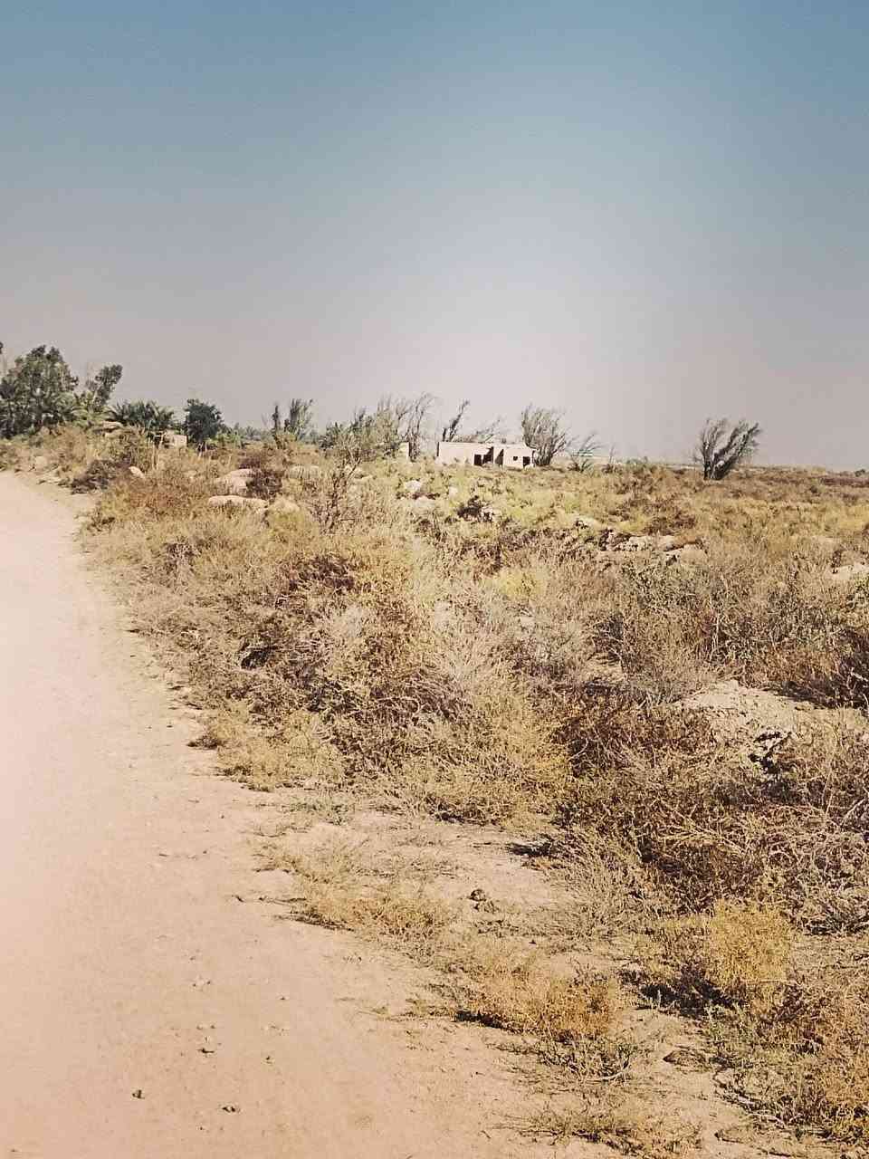أرض زراعية ٣٠ دونم للبيع تقع على طريق الحي مقابل المعهد التقني الكوت كهرباء وماء سيح لسقي اوساله العقد الجديد ٢٤ الأتصال على هذا الرقم ***********
تصلح ان تكون مخازن مشروع حقول دواجن لانهاقريبه جدامن الشارع العام

