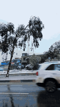 للبيع تراوس السعر 850  واتساب 07702329823