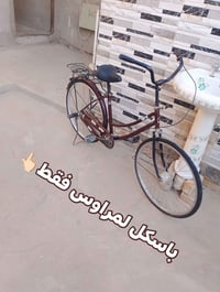 باسكل • سود • ينزله خاص