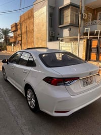 كورلا ٢٠٢٤ • مكفوله صبغ • بغداد بلديات