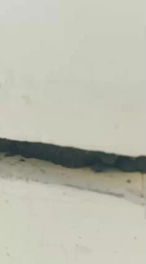 السلام عليكم شغل درجه اولى على الدبل وبل يوميه وهذا رقمي ***********
