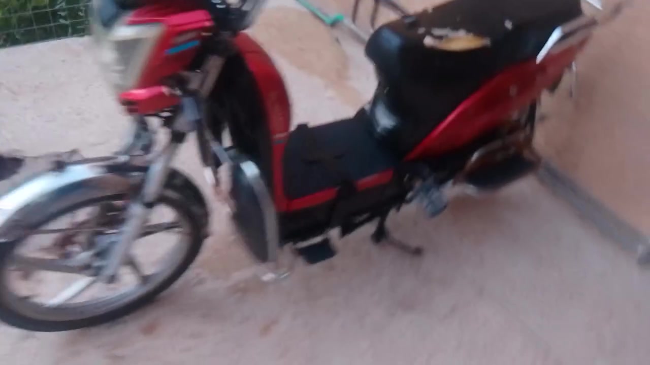 موطور هارلي موديل 2023 5بطاريات  يقرن 10ونص جدد  موطور برغي مابي نقس سويجات وبصمات كله كامل السعر 350 وبي مجال العنوان فلوجه حي نزال مقابل مطعم الباديه للستفسار ***********//***********
