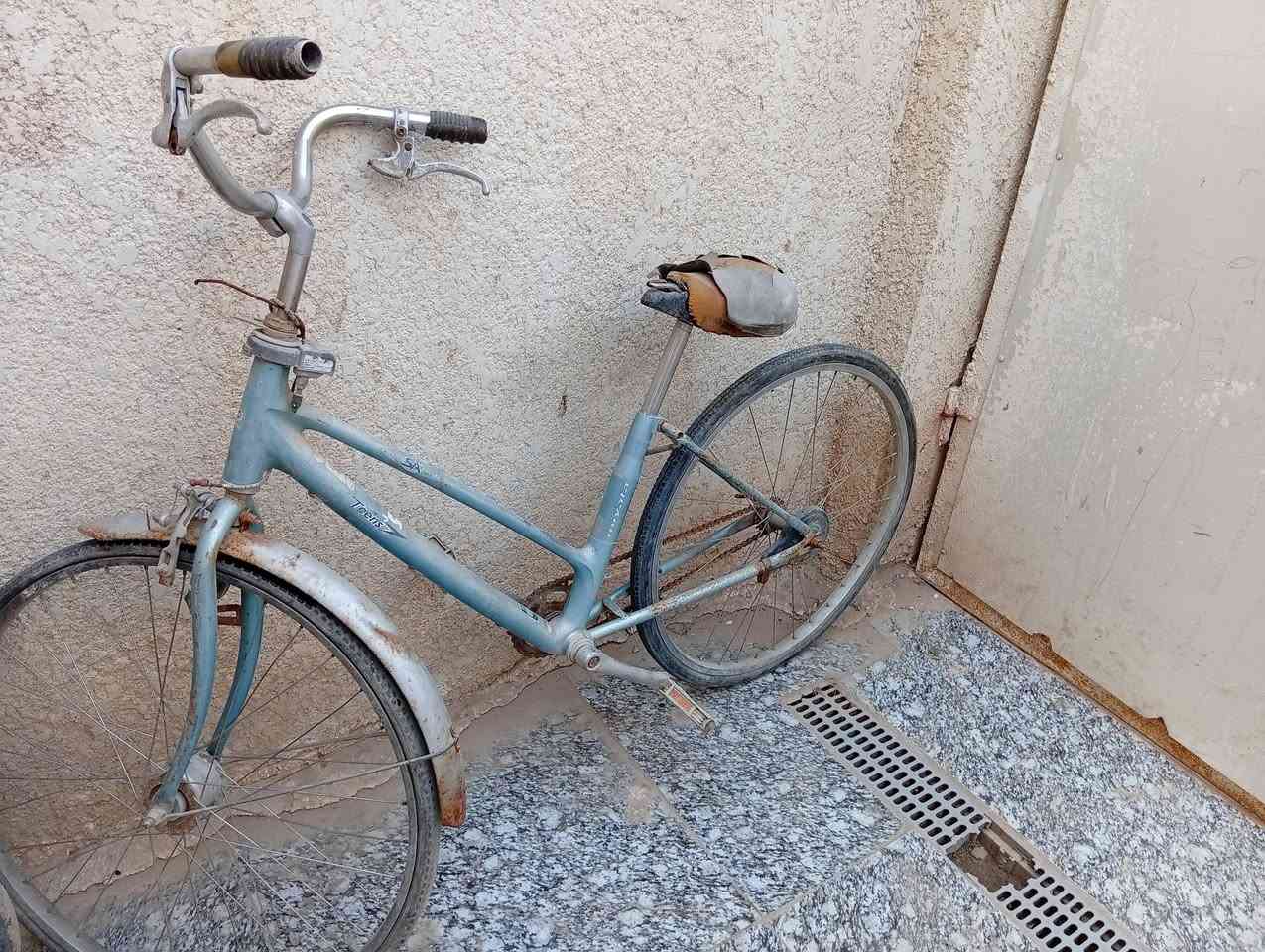 سلام عليكم بايسكل نضيف سعره 75 وبيه مجال التواصل خاص عنوان مغربه
وباسكل بناتي عوزه سرج سعره 25وبيه مجال


**إذا كنت صاحب هذا الإعلان وتريد حذفه لأي سبب، رجاءا أرسل رسالة إلى الدعم الفني**