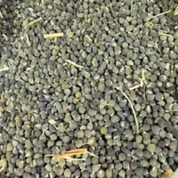 يوجد بزار باميه بتره چف الطير بشرط. الكيلو على 10 اليحب ايتوصل 0780422...