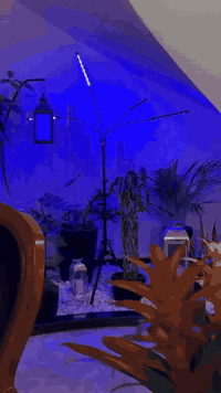 السلام عليكم متابعينا 🤍.
انارة مخصصة لتحفيز نمو النباتات الداخلية 🪴🪴🌷
 
اللون الاحمر يساهم في تعزيز النموا الطبيعي والازدهار🌷🌷🌼🌼

الازرق يساعد على نموا الجذور والاوراق وتوفير الكلوروفيل🪴🪴🍀🍀

الاحمر & الازرق معاً يخرج لون بنفسجي
وهو يساعد ويسرع في النموا الطبيعي الكامل للنبات 🌲🌲🌳☘️🍀🍀🍄

ملاحظة مهمة ( كل قطعة  تحتوي على جهاز تحكم عن بعد ريمونت كونترول وكذلك محولة خاصة بالجهاز )
ثنائية قراصة ريمونت كونترول 15 الف 
ثلاثية ريمونت كونترول مع ستناد20الف 
رباعية ريمونت كونترول مع ستاند 25 الف 
🍀🍀🍀☘️🌳🌳🌳🌲🪴🪴🍄🍄🌷🌷

📍 متوفر توصيل لجميع محافظات العراق 🚗 🚗 
📍 العنوان:بابل/ محاويل.
📍 للحجز والاستفسار يرجى مراسله الصفحه او مراسلتنا على واتساب من خلال الرقم:
***********
