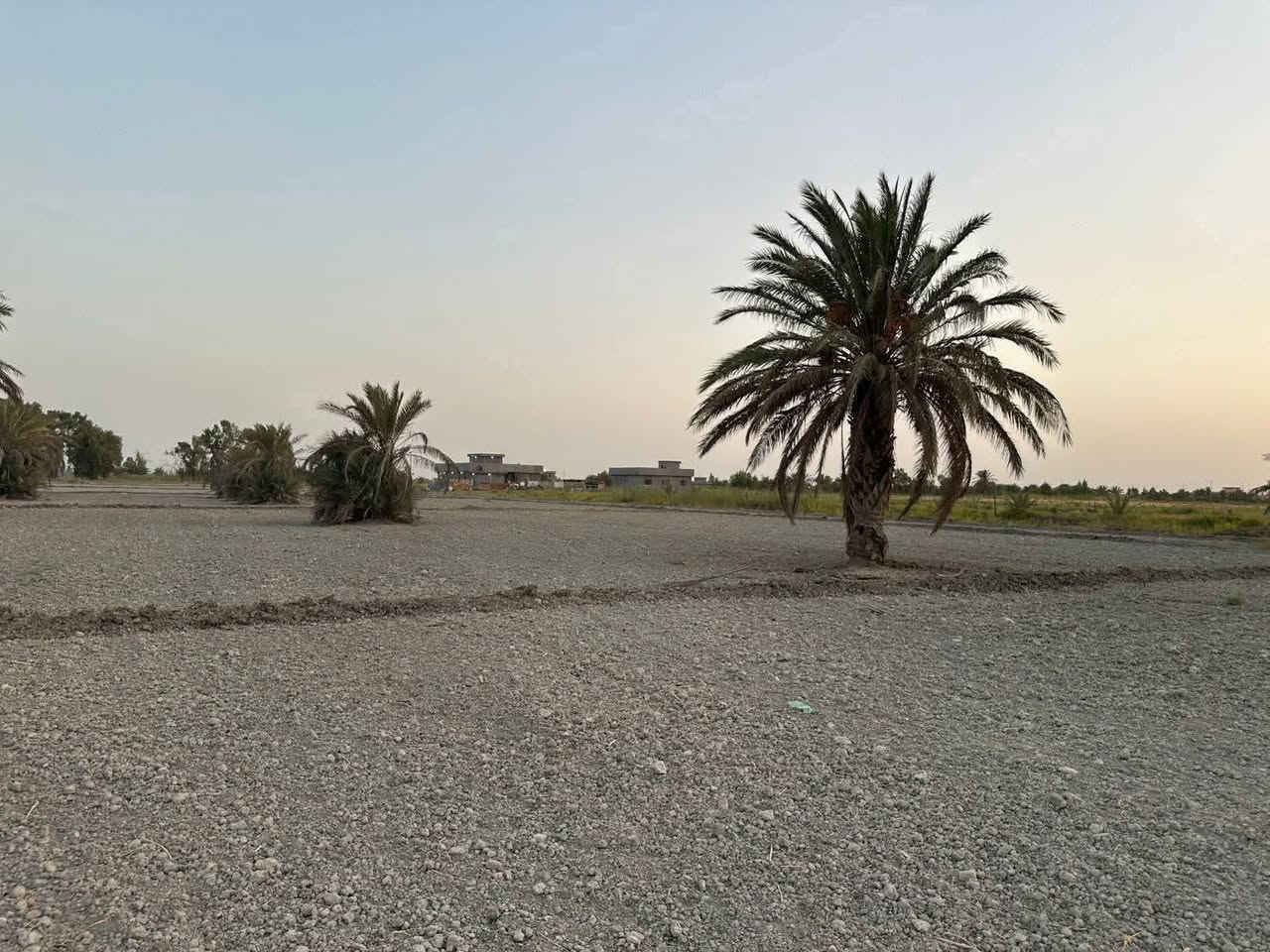 🌴 للبيع أرض مميزة 🌴
إخوان، للبيع 5 دوانم ونص بسمي، سند 25 طابو الفلوجة، منطقة شيخ عامر – سبع البور.

✅ الأرض بيها نخل حمّال وأنواع مختلفة .
✅ ماء سقي وماء إسالة الكرخ متوفر.
✅ كهرباء موجودة.
✅ ثاني قطعة من الشارع.
✅ قريبة على جامع الإمام الحسن.
✅ تبعد عن الكاظمية تقريباً ربع ساعة.

الأرض مخدومة وجاهزة للزراعة، وتصلح همين للاستثمار وسوي بيها مزرعة أو شاليهات، خصوصاً والمنطقة كلها مزارع وشاليهات.

🔹 البيع من دونم فما فوق.
🔹 الأرض ملك سند ٢٥ طابو الفلوجة وباسمي مباشرة.

للاستفسار والمعاينة الاتصال على الرقم:
📞 [رقم الهاتف]***********
***********
