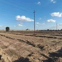 دونمين ملك صرف ع طابو ابي غريب قرب جسر الأسود شارع تبليط وره مستشفى اب...