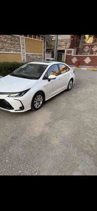 كوريلا هايبرد • ٢٠٢٥ • ١٣٠٠٠