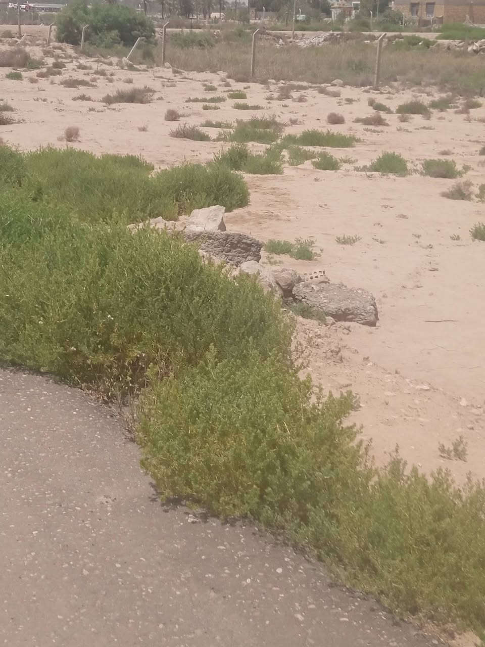 ياالله سلام عليكم
ارض للبيع طابو زراعي سند 25 حله ورديه منطقه الامام ابن الحسن  تتوفر كافه الخدمات من كرهباء وماء وشارع رئيسي ومحلات ومنطقه سكنيه القطه مساحتهاا 400متر واكو 200متر قريبه علئ الامام كلش للمعلومات اكثر مراسله الصفحه او الاتصال *********** او ***********
