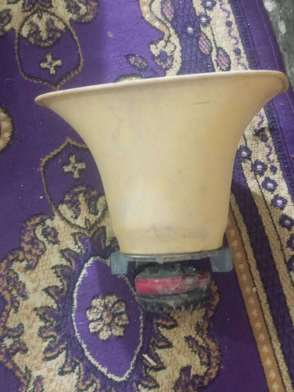 شغاله بها مجال 75
