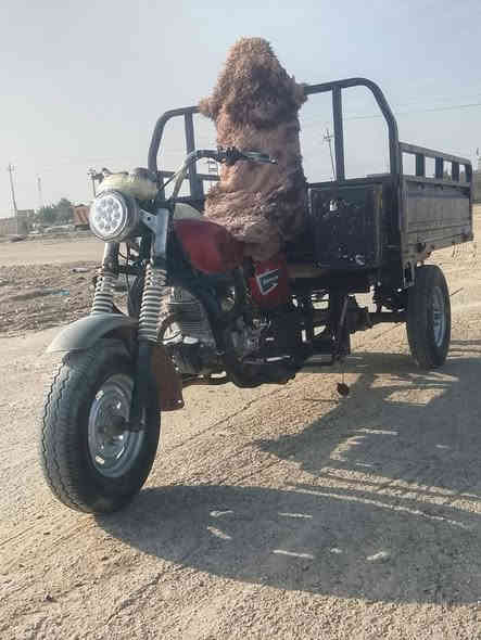 السلام عليكم ستوته للبيع ستوته نظيفه ستوته كهربائيات كلها شغاله شاصي نظيف ماكينه مفتوحه  السعر 750
مكان ناصريه مركز

***********
