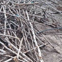 حطب • للبيع والشراء • تواصل خاص