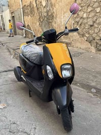 بوليسي • نضيف • ماطور