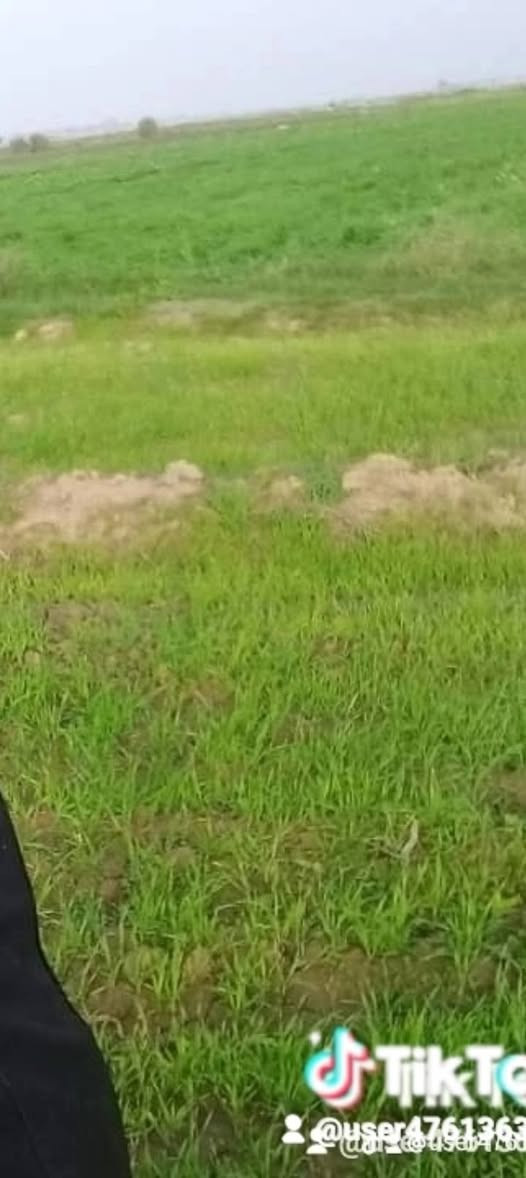 أرض زراعية 13 دونم واجهة 80 والنزال على طولها قضاء الحي  منطقة السايبة الشارع الي خلف الجنابي 
هاتف ***********
