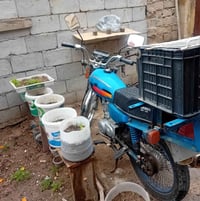 دراجة • الزبير • البصرة