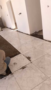 عامل سيراميك • ارضية • الخضر الصوب الصغير