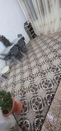 محفورة • سجادة • ديكور