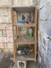 خانات • ٣ قطع • اصلية