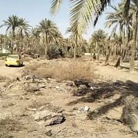 ابي غرق البثويني • سند • ١٢٥٠م