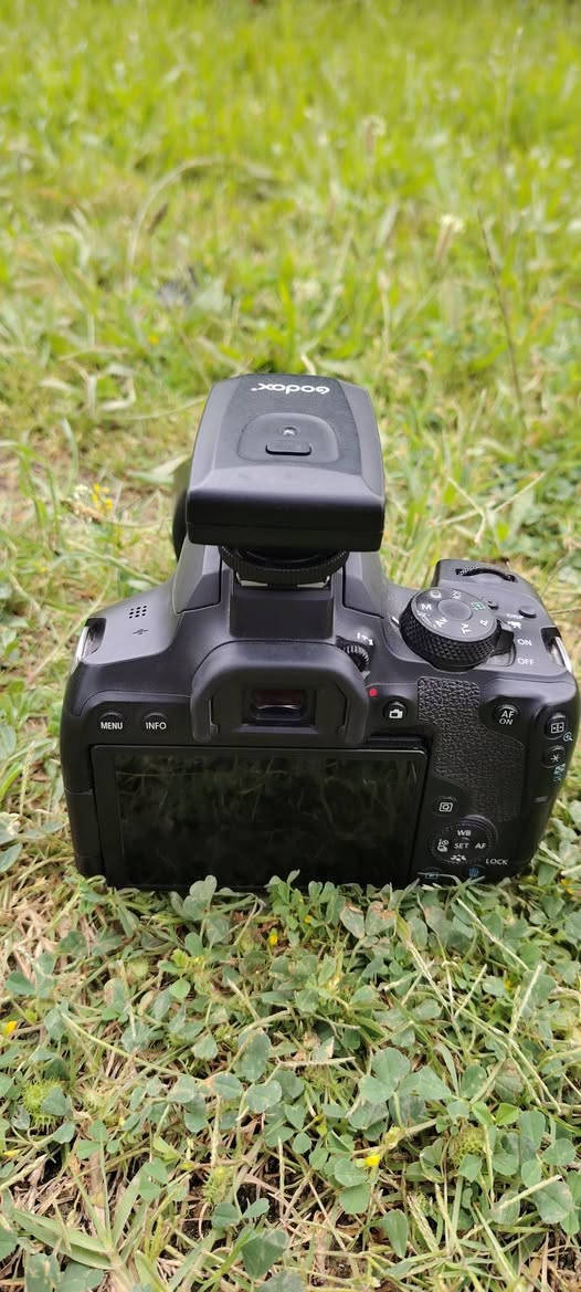 سلام عليكم كانون للبيع 850d نضافه100 شتر4k ملحقاتها عدسه 18-55 stm حيقبه وحزام وهود وفلتر  وحزام  ورام 32كيكا الكامره تدعم وايفاي وبلاتوث ولمس وشاشه قلابه سعرها 650قفل عنواني بابل لايوجد توصيل


**إذا كنت صاحب هذا الإعلان وتريد حذفه لأي سبب، رجاءا أرسل رسالة إلى الدعم الفني**
