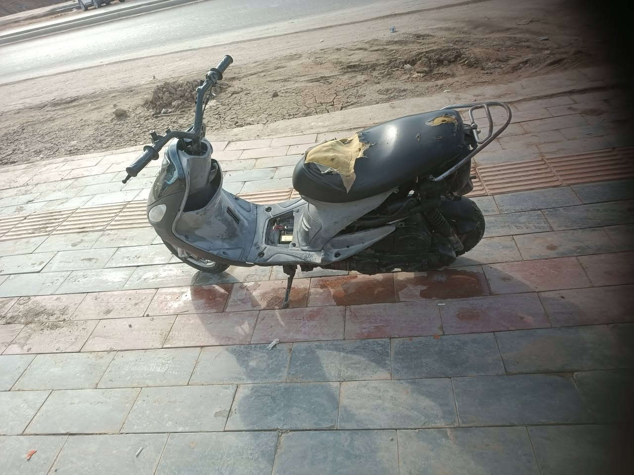 لبيع ماكس منغولي شلعه ومعدل مل حوريه على يدي ***********
