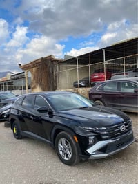 توسان ٢٠٢٥ • باب صبغ • عقره