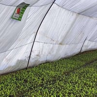 مقاوم • عادي • الحيدرية