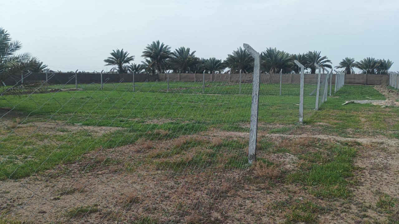 يتوفر دونم طابو زراعي سند 25
كل الخدمات متوفره 
معرفه تفاصيل اكثر 
اتصل ***********
صور من واقع الارض
