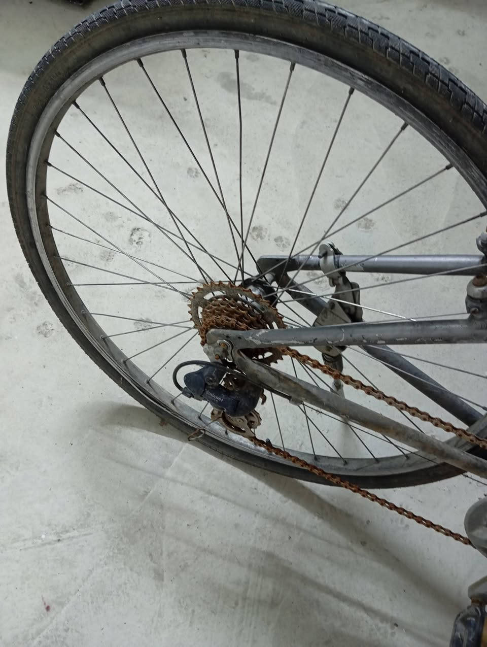 السلام عليكم بايسكل للبيع يعوزو وياله و عيار الكير والبايسكل كلو كدام العين بس يعوزو وياله و السعر 35 و بي مجال حك جيتك و الموشراي رجاء لا يعلق و لايدوخني التواصل عل رقم غير متواجد عل فيس *********** الموشراي رجاء لا يعلق
