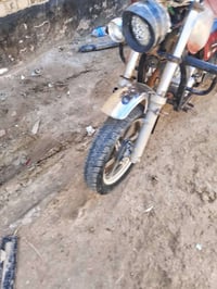 ستوته • مكفولة • الديوانية