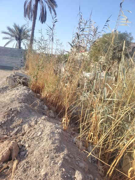 #أسعد_الله_اوقاتكم_بكل_خير
قطعة ارض #المساحة 1000م
يدخل أسم المشتري #سهم بالطابو 
خلف المساحة نهر جاري 
#الواجهة 25 والنزال 40م
أبي الخصيب - حمدان - الرومية 
#السعر_المطلوب :: 140 مليون قابل للتفاوض
#للأستفسار :: ***********
نستقبل جميع العروض العقاريه
