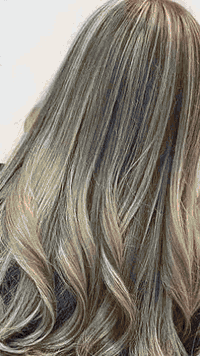 صالون روز • عروض راس السنه • نجف/كوفه