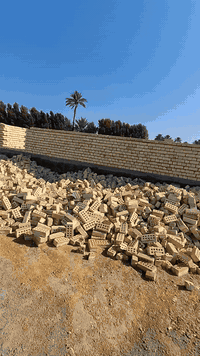 للبيع السعر 37 وبي مجال
***********
***********
