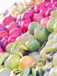 اسعاريوم. اليوم الخميس    اوتساب  07819725698 عروض ليوم  تفاح احمر +اص...