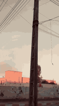 سلام عليكم ماكس عدله للبيع بوخشه خمسه وخمسين دراجه شلعه ومعدل كفراته كله اصليه كهربائيات كله شغاله دراجه نكره سلف سعر خاص استفسار اكثر هاذه رقمي ‏‪***********‬‏ بي واتساب
